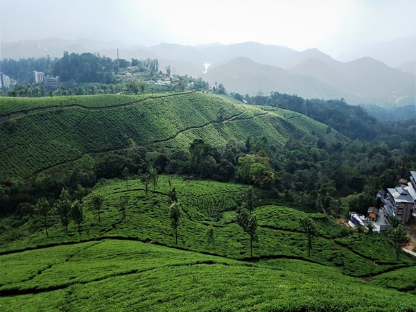 മൂന്നാർ