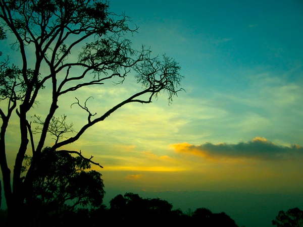 യേർക്കാട്