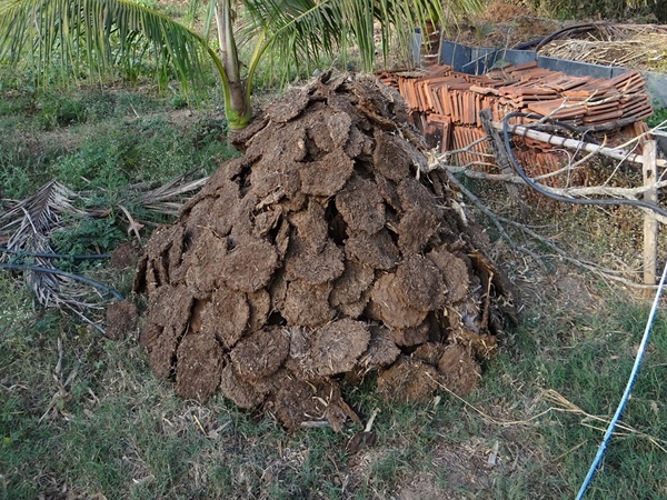 ഒരുക്കം ആഴ്ചകൾക്കു മുന്പേ