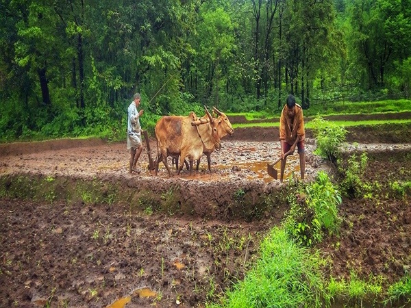 ധാതുക്കളുടെ കയറ്റുമതിയിൽ മുന്നിൽ