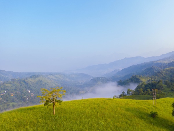 ഗ്രാമങ്ങളിലേക്ക്