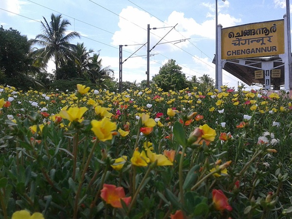 ചെങ്ങന്നൂർ
