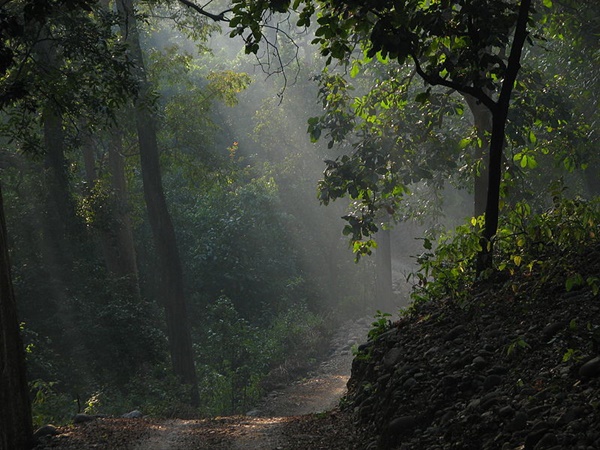 ജിം കോർബറ്റ് ദേശീയോദ്യാനം ഉത്തരാഖണ്ഡ്