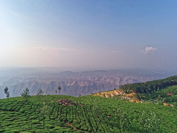 ഊട്ടി മാറ്റി കോത്താഗിരി