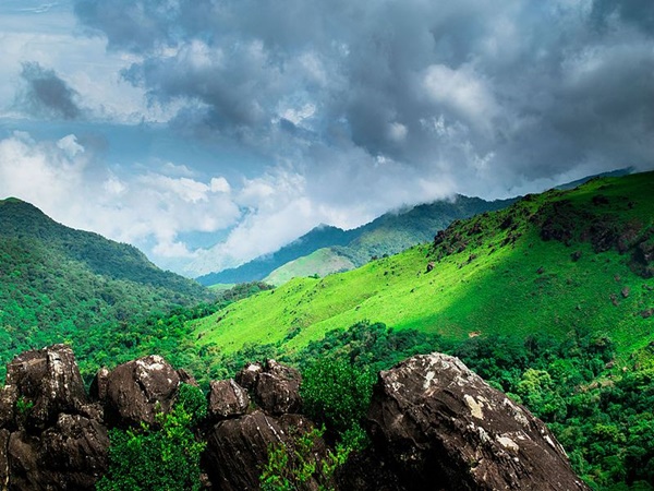 തടിയന്റമോൾ