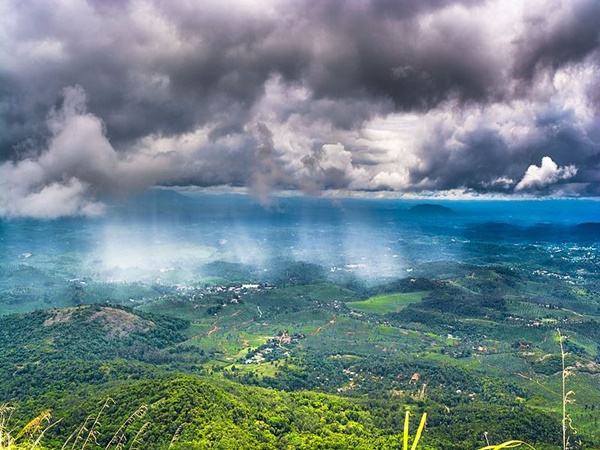 വയനാട്