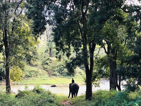 അവസാന നഗരമായ ഹൊസൂരിലേക്ക്