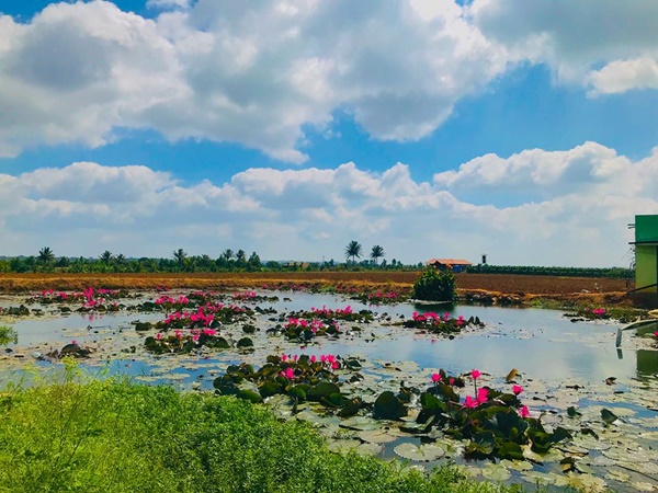 ഒരു യാത്ര അവസാനിക്കുന്നു