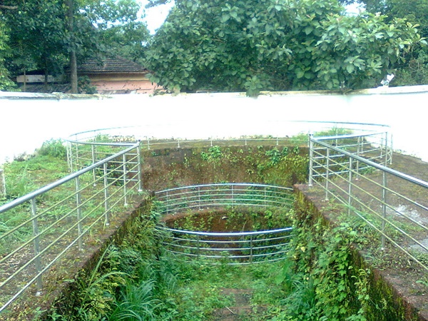 ജീവിക്കുന്ന തെളിവുകൾ