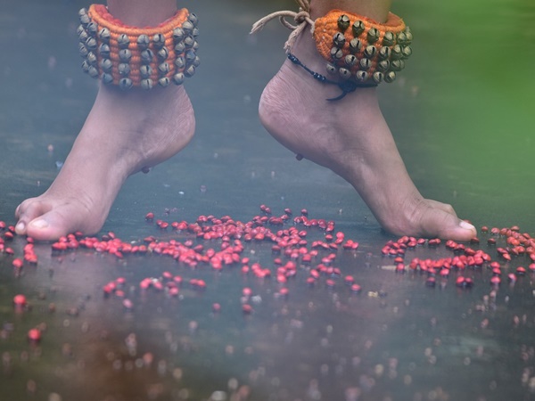 നിശാഗന്ധി ഡാൻസ് ഫെസ്റ്റിവൽ