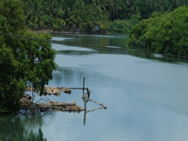 കല്ലായി
