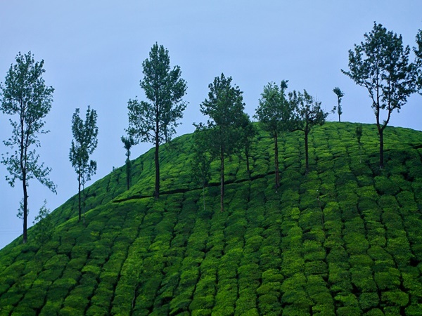 മൂന്നാർ
