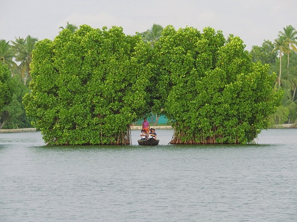 മൺറോ തുരുത്ത്