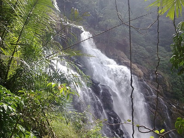മീൻമുട്ടി വെള്ളച്ചാട്ടം