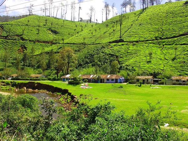 മൂന്നാർ വിന്റർ കാർണിവൽ