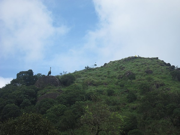 മുരുഗൻ ഹിൽ