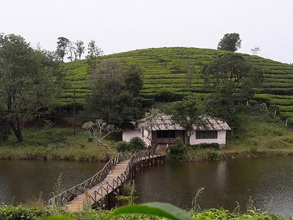 വാഗമൺ ലേക്ക്