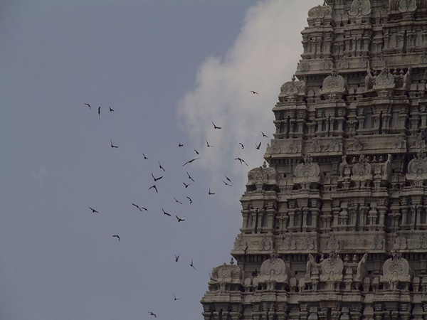 ഇന്ത്യയിലെ ഏറ്റവും വലിയ ക്ഷേത്രങ്ങളിലൊന്ന്
