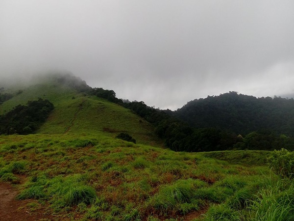 പൈതൽമല