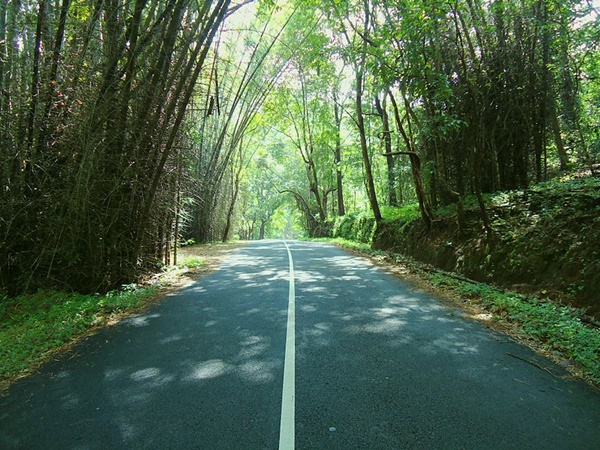 വാഴച്ചാൽ