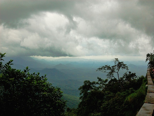 കരിന്തണ്ടന്റെ കഥ ഇങ്ങനെ