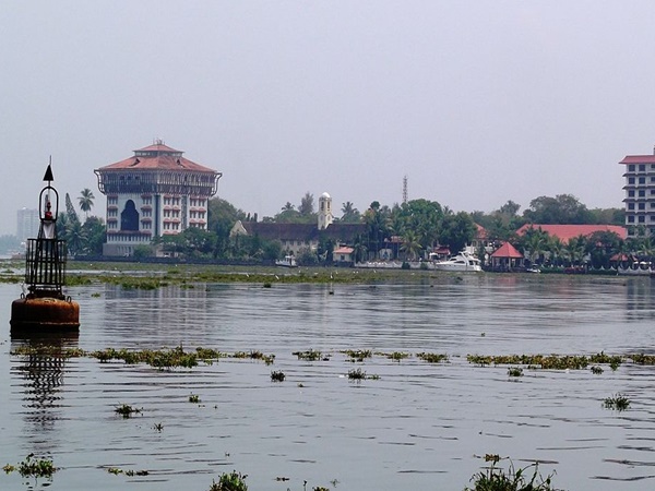 വില്ലിങ്ടൺ ഐലൻഡ്
