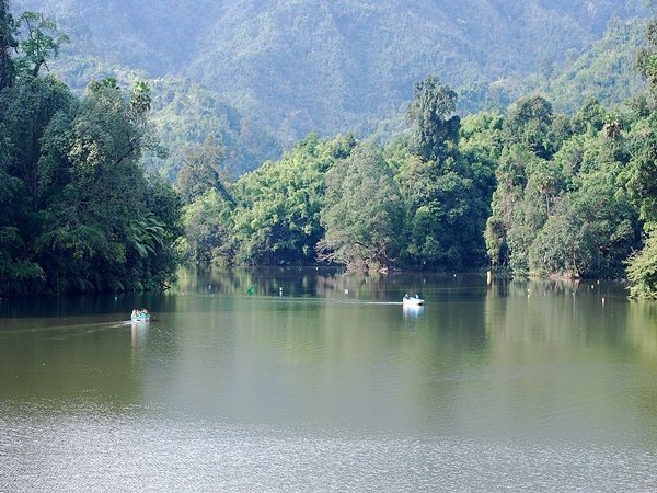 മിയാവോ