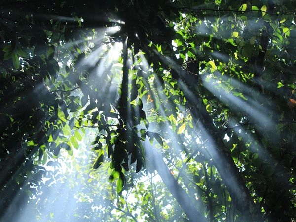 നിശബ്ദത ഏറ്റവും നല്ലത്