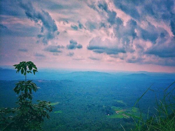 വാഴമല