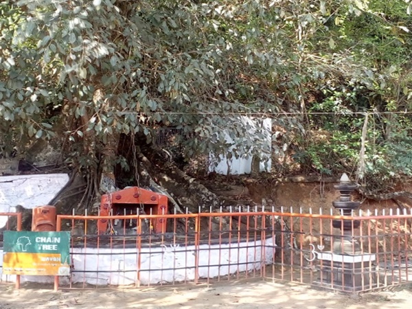 വിട്ടുപോകാത്ത കരിന്തണ്ടൻ