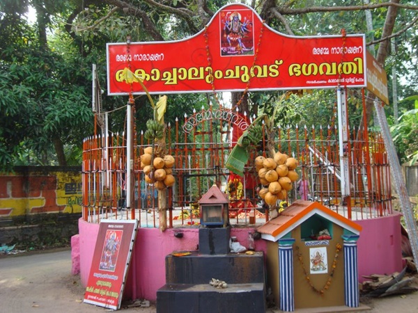 ചാരം പ്രസാദം