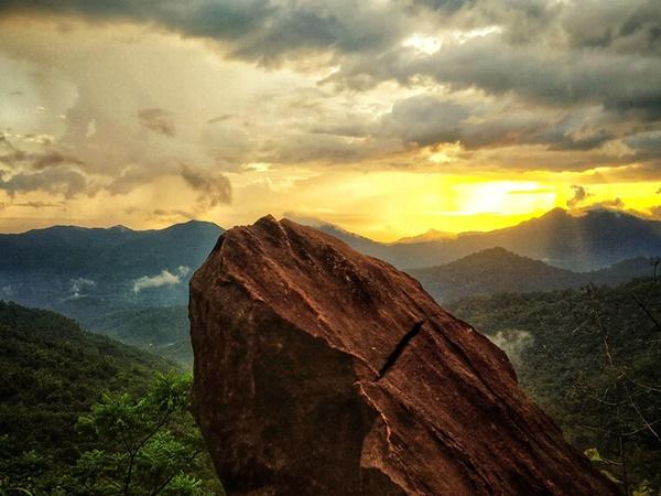 കാലാങ്കി