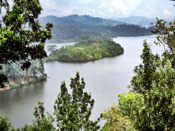 കൊടുംകാടിനും ചായത്തോട്ടത്തിനും നടുവിൽ ആനയിറങ്ങുന്ന ആനയിറങ്കൽ ഡാം