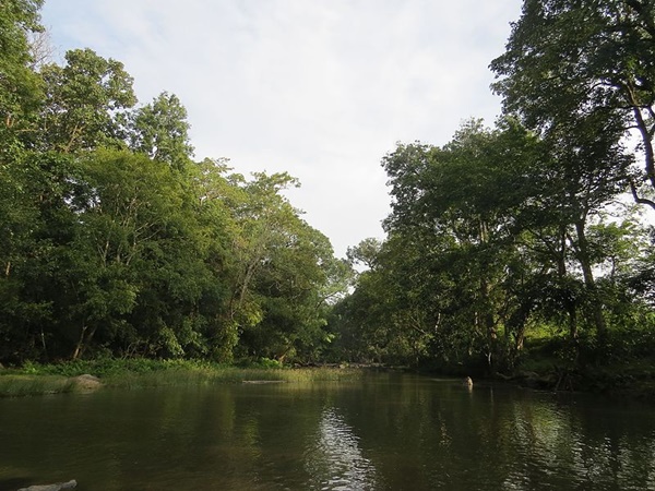 വയനാട്