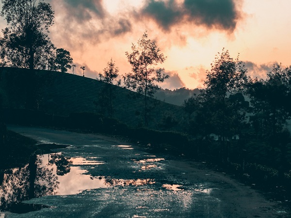 നിലമ്പൂർ- നാടുകാണി