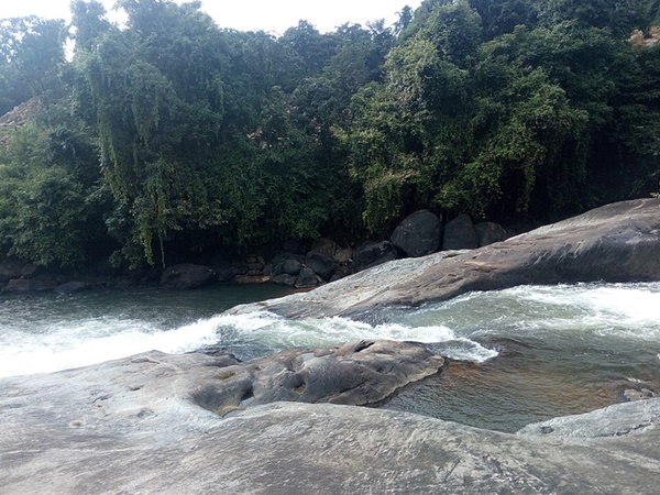 തിരുവമ്പാടി