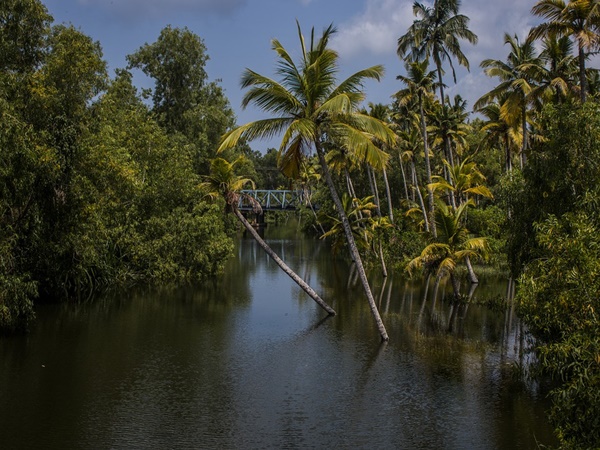 പച്ചപ്പിന്റെ തുരുത്ത്