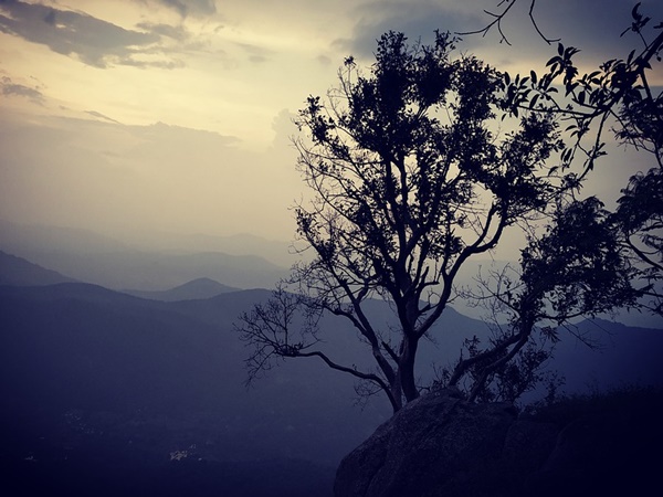 യേർക്കാഡ്, തമിഴ്നാട്