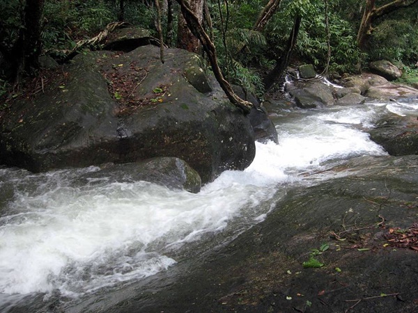 കല്ലാർ വെള്ളച്ചാട്ടം