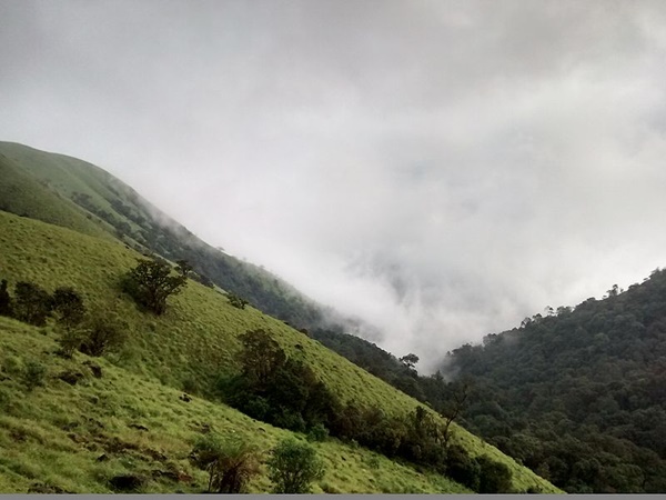 മഞ്ഞും മഴയും കൊണ്ട് കുടജാദ്രിയിലേക്ക്