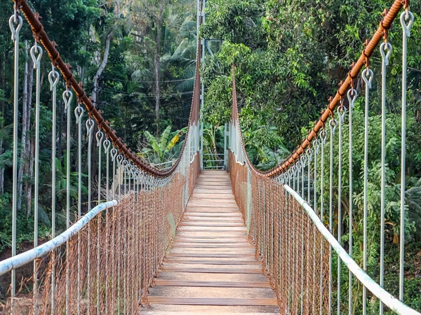 ഇരിട്ടി- ആറളം