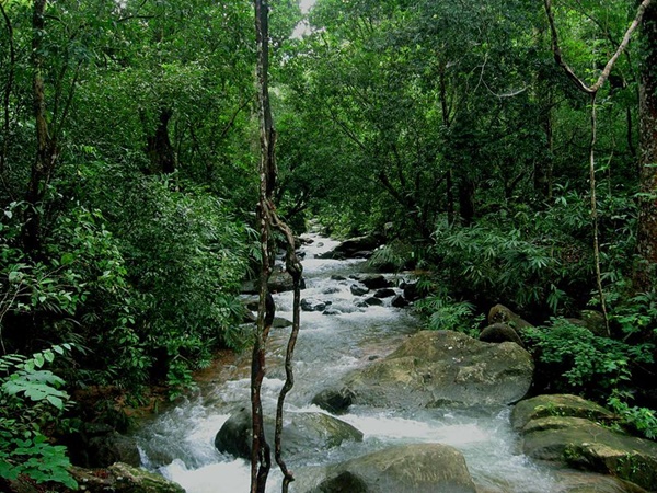 പൊന്മുടിയിലേക്കുള്ള വഴിയിൽ