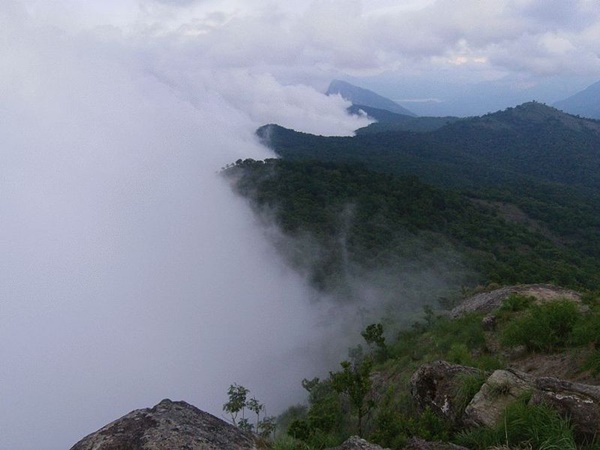 നെല്ലിയാംപതി