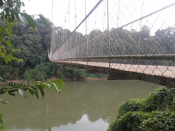 ന്യൂ ജെനറേഷന് നാട്