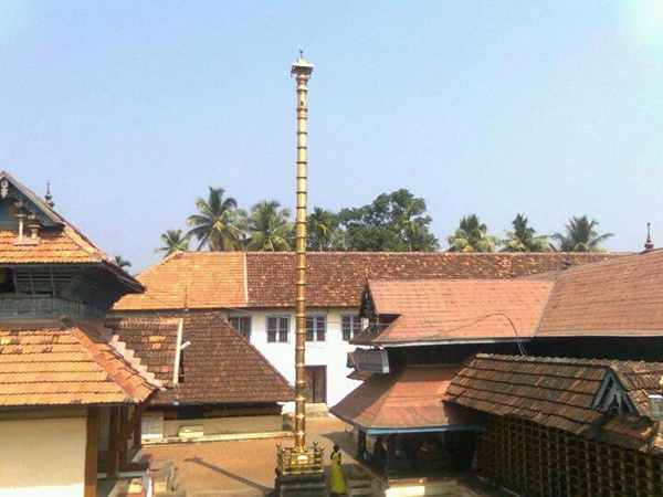 പാലക്കോല് വേലിക്കാകാ