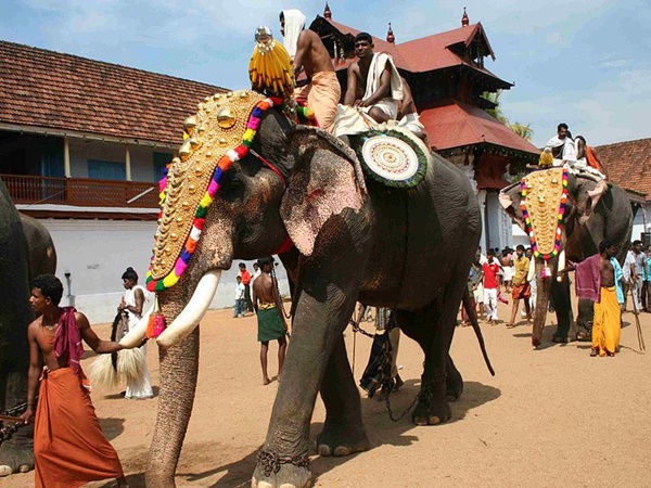 ആഘോഷങ്ങളും ഉത്സവങ്ങളും
