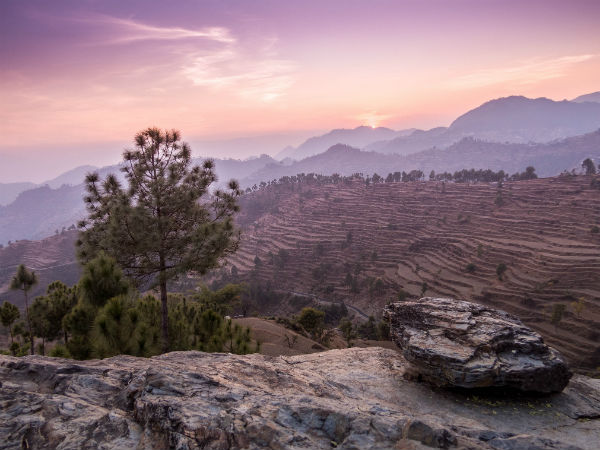 അല്മോറ