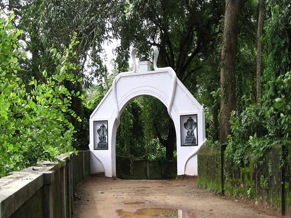 ചോതി- പാമ്പുമേക്കാവ് നാഗരാജ ക്ഷേത്രം