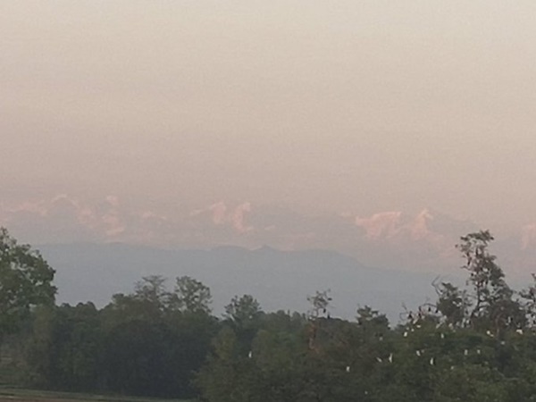 ബീഹാറില് നിന്നും