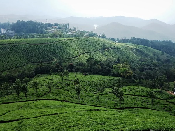 കാണാന് കാഴ്ചകള്